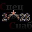 Фотозона с аркой уличная "2026" для благоустройства города к 80-летию Победы
